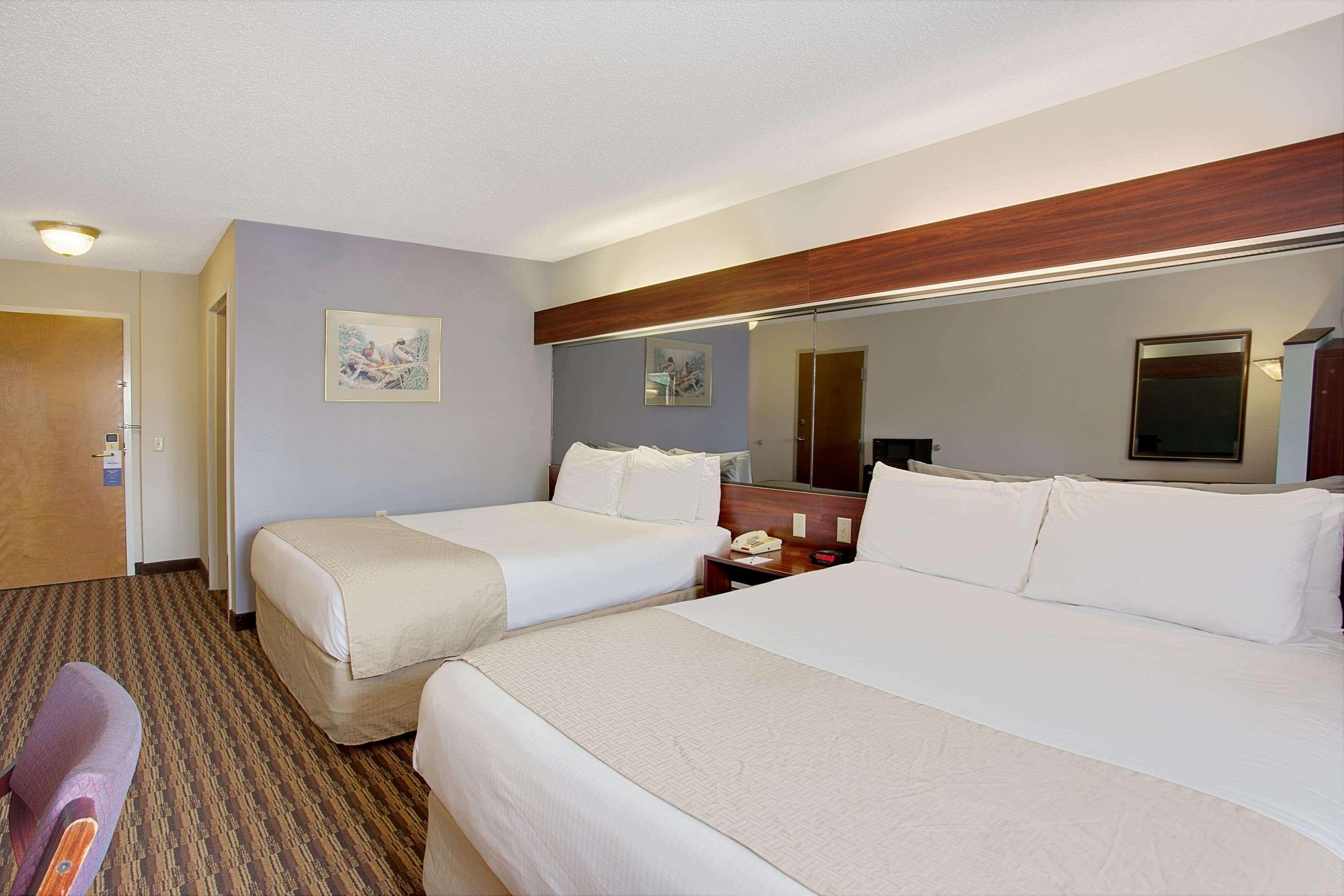 Microtel Inn By Wyndham - מורפריסבורו מראה חיצוני תמונה