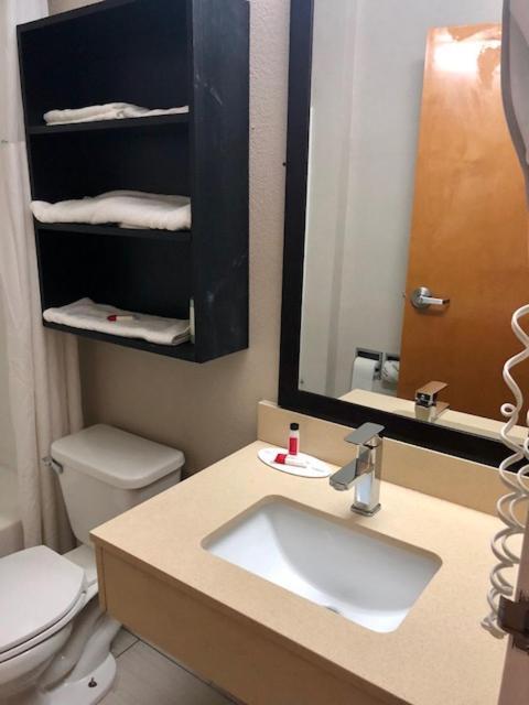 Microtel Inn By Wyndham - מורפריסבורו מראה חיצוני תמונה